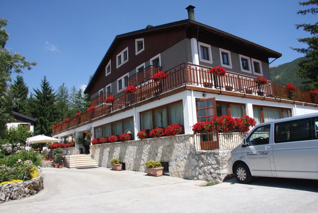 Hotel Edelweiss ペスカッセーロリ エクステリア 写真